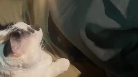 Nick f and Bennie m online show from 19, 9, 2025