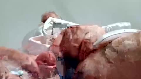 TheCock online show from 28, 12, 2024