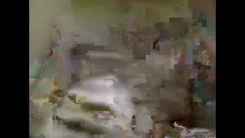 Snapshot of nickvtx chatting on 5, 1, 2025 Nick online show from 5, 1, 2025