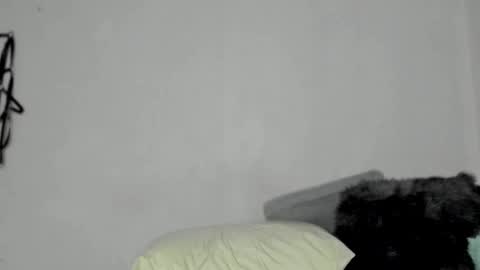 Snapshot of nico_nico_xd chatting on 13, 12, 2024 Nico online show from 13, 12, 2024