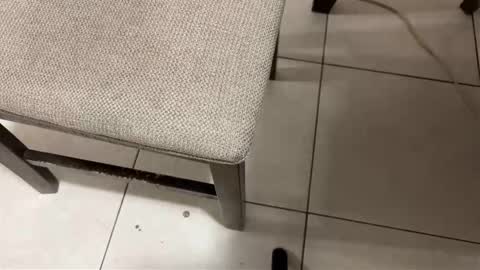 Carlos Nico online show from 14, 3, 2026