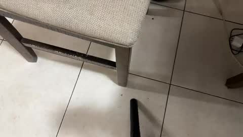 Carlos Nico online show from 28, 2, 2026