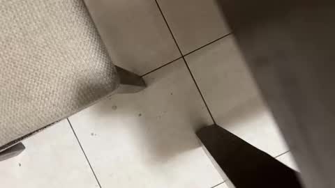 Carlos Nico online show from 2, 3, 2026