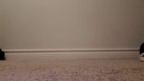 nicoleandbrian online show from 31, 12, 2024