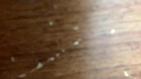 nightmoves1970 online show from 20, 11, 2025