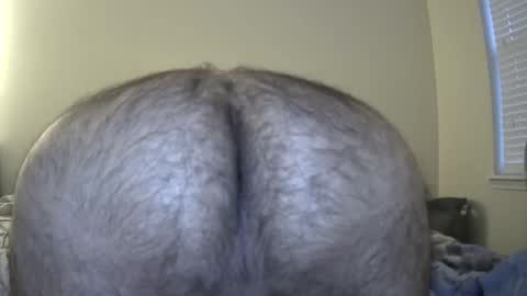 nightranger2001 online show from 25, 12, 2024