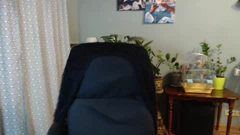 Nika online show from 23, 3, 2026