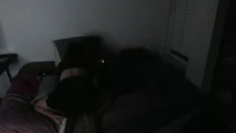 Snapshot of nikkigamer chatting on 30, 11, 2025 nikkigamer online show from 30, 11, 2025