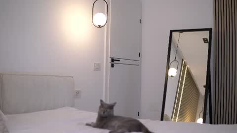 Snapshot of nikkimagic chatting on 6, 7, 2026 Nicole online show from 6, 7, 2026