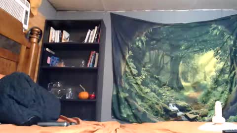 Nikki online show from 16, 11, 2025