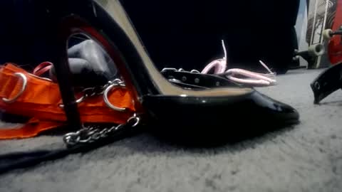 Snapshot of nikkkibabyyyy chatting on 22, 1, 2025 Niquita Sparkles online show from 22, 1, 2025