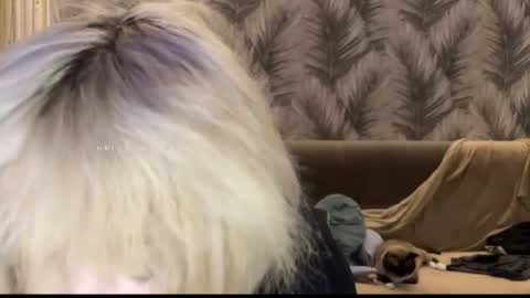 Snapshot of nikoli_naw chatting on 11, 6, 2026 nikoli_naw online show from 11, 6, 2026