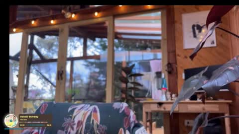 Nina.  online show from 8, 2, 2026