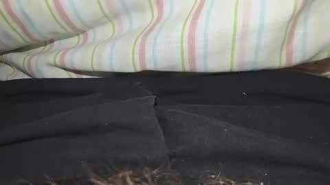 Snapshot of niterider22 chatting on 14, 3, 2026 niterider22 online show from 14, 3, 2026