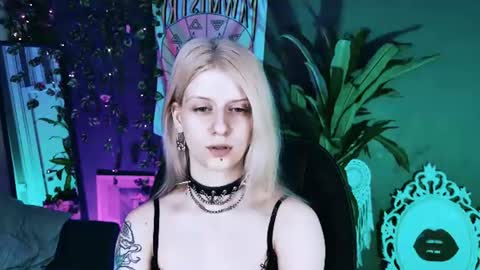 Snapshot of noah_elmer chatting on 11, 7, 2026 REAL name LiaDM are always open online show from 11, 7, 2026