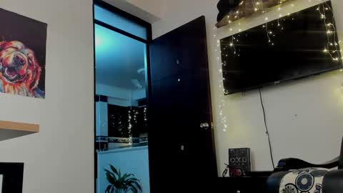 Snapshot of noahbrawn chatting on 29, 12, 2024 LIAM- noah online show from 29, 12, 2024