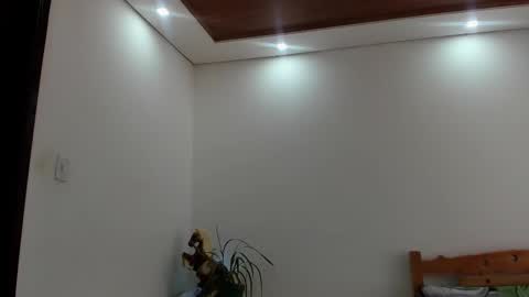 Snapshot of noahbrawn chatting on 24, 10, 2025 LIAM- noah online show from 24, 10, 2025