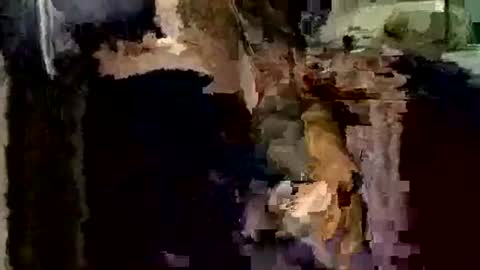 Snapshot of nocturnus1980 chatting on 1, 12, 2025 nocturnus1980 online show from 1, 12, 2025