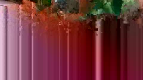 Snapshot of nocturnus1980 chatting on 16, 1, 2026 nocturnus1980 online show from 16, 1, 2026