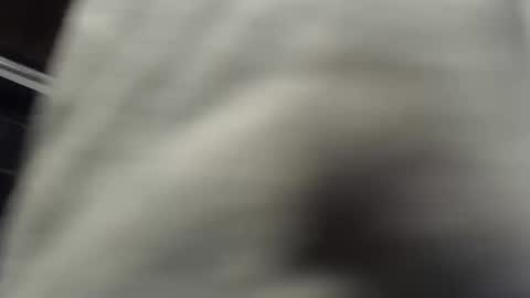 Snapshot of nombah_ chatting on 16, 12, 2025 nombah_ online show from 16, 12, 2025