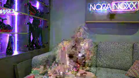 Snapshot of nora_noxx chatting on 24, 6, 2026 NoraNoxx online show from 24, 6, 2026