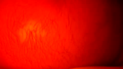 Snapshot of norbitomii chatting on 24, 9, 2025 norbitomii online show from 24, 9, 2025