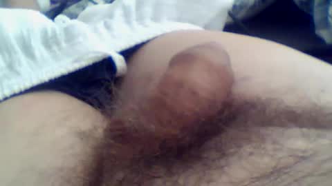 norbitomii online show from 29, 7, 2026
