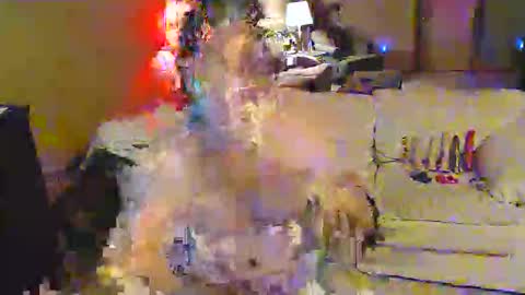 norules2323 online show from 26, 4, 2026