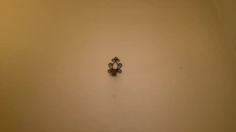 Snapshot of noscandal chatting on 21, 2, 2025 noscandal online show from 21, 2, 2025