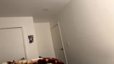 Snapshot of noseassapa chatting on 6, 12, 2024 se le perdio algo perra hp online show from 6, 12, 2024