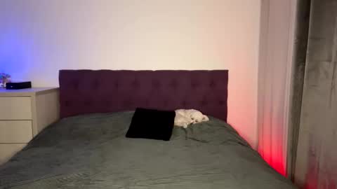 Tina online show from 8, 11, 2025