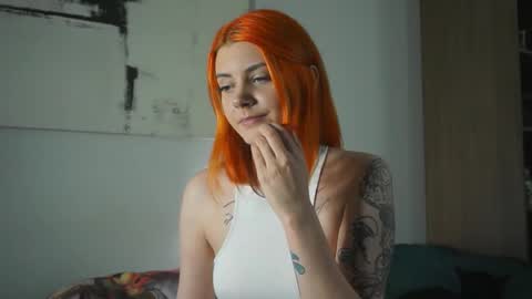 Nova online show from 9, 11, 2025