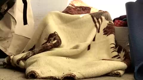 Snapshot of nuevotiempo chatting on 23, 2, 2026 nuevotiempo online show from 23, 2, 2026