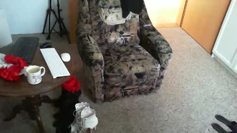 Strumpfhose online show from 16, 4, 2026