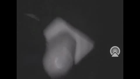 nympham online show from 8, 4, 2026