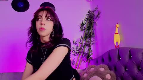   online show from 11, 1, 2026