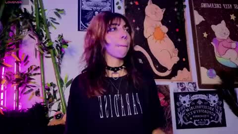   online show from 17, 3, 2026