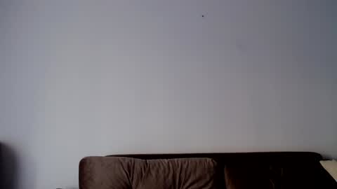 Snapshot of o_r_b_i_t chatting on 19, 12, 2024 o_r_b_i_t online show from 19, 12, 2024