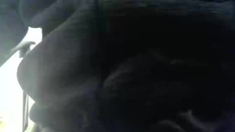 obahiro823844 online show from 17, 12, 2025