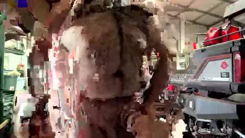 Snapshot of odang_13 chatting on 21, 2, 2026 odang_13 online show from 21, 2, 2026