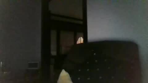 Snapshot of office_slr chatting on 26, 12, 2024 Officer online show from 26, 12, 2024