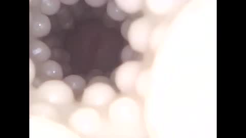 ohioguy4201985 online show from 13, 4, 2026