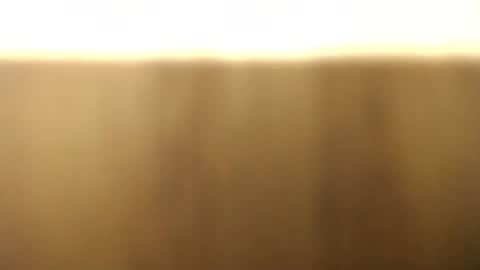 okoro1212 online show from 28, 11, 2025