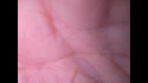 Snapshot of oldaddy2 chatting on 21, 9, 2025 oldaddy2 online show from 21, 9, 2025