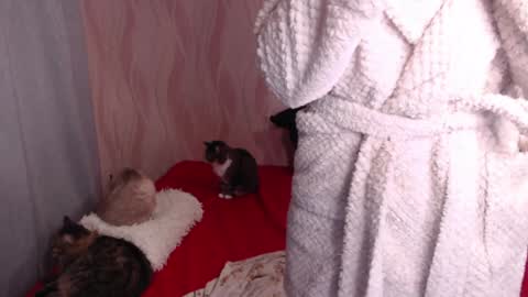 Snapshot of olivia_redd chatting on 31, 12, 2024 Olivia online show from 31, 12, 2024