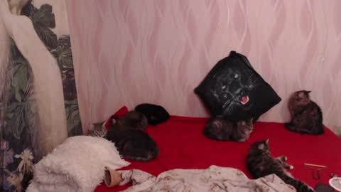 Snapshot of olivia_redd chatting on 5, 2, 2025 Olivia online show from 5, 2, 2025