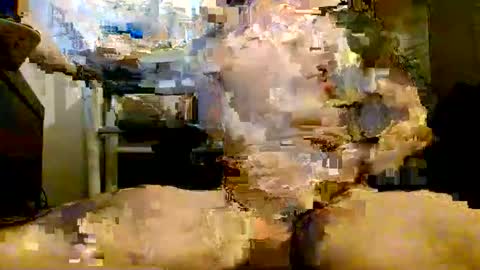 onlyfunnowchat online show from 6, 1, 2026