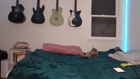 Snapshot of onlystrings chatting on 12, 3, 2025 Duo online show from 12, 3, 2025