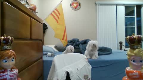 Snapshot of oorah1775 chatting on 2, 3, 2025 oorah1775 online show from 2, 3, 2025