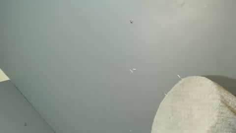 ARA online show from 26, 10, 2025